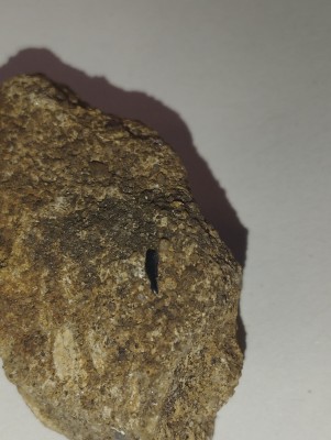 IMG_20231014_165802.jpg (3.18 MiB) Przejrzano 3408 razy IMG_20231014_165802.jpg