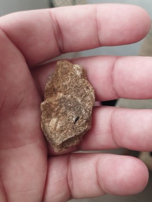 IMG_20231014_172620.jpg (3.83 MiB) Przejrzano 3337 razy IMG_20231014_172620.jpg