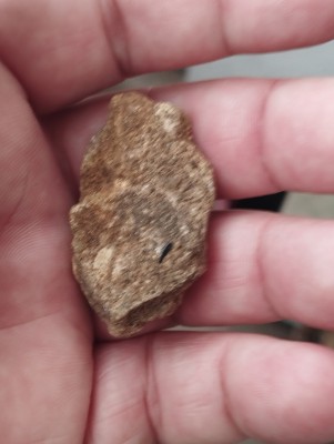 IMG_20231014_172615.jpg (3.01 MiB) Przejrzano 3337 razy IMG_20231014_172615.jpg