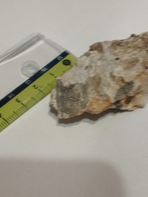 IMG_20231014_175451.jpg (2.78 MiB) Przejrzano 3370 razy IMG_20231014_175451.jpg