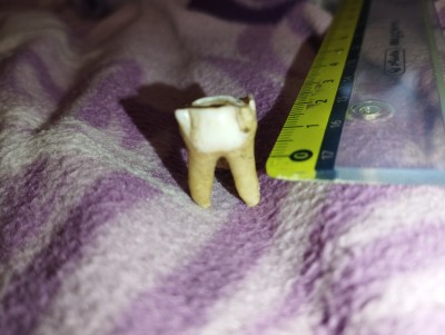 IMG_20231023_173627.jpg (4.3 MiB) Przejrzano 3473 razy IMG_20231023_173627.jpg