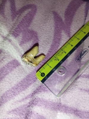 IMG_20231023_173606_Easy-Resize.com.jpg (91.03 KiB) Przejrzano 3470 razy IMG_20231023_173606_Easy-Resize.com.jpg