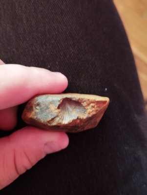 IMG_20231104_135233.jpg (4.95 MiB) Przejrzano 2964 razy IMG_20231104_135233.jpg