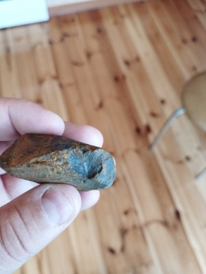 IMG_20231104_135314_Easy-Resize.com.jpg (76.68 KiB) Przejrzano 2962 razy IMG_20231104_135314_Easy-Resize.com.jpg