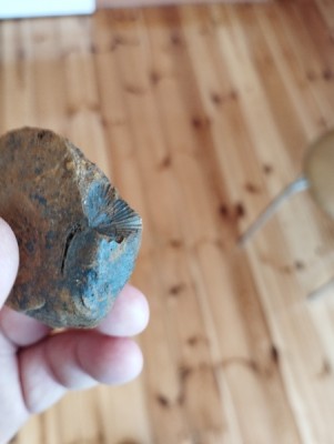 IMG_20231104_135326_Easy-Resize.com.jpg (72.8 KiB) Przejrzano 2962 razy IMG_20231104_135326_Easy-Resize.com.jpg