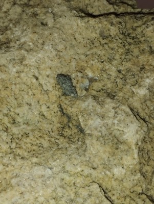 IMG_20231113_161919.jpg (3.56 MiB) Przejrzano 2705 razy IMG_20231113_161919.jpg