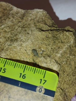 IMG_20231113_162004.jpg (3.83 MiB) Przejrzano 2873 razy IMG_20231113_162004.jpg