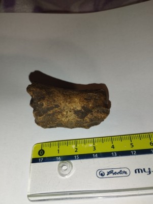 IMG_20231114_171337_Easy-Resize.com.jpg (76.3 KiB) Przejrzano 3000 razy IMG_20231114_171337_Easy-Resize.com.jpg