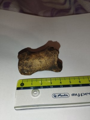 IMG_20231114_171234_Easy-Resize.com.jpg (75.4 KiB) Przejrzano 3000 razy IMG_20231114_171234_Easy-Resize.com.jpg