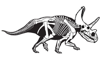 Rekonstrukcja szkieletu Agujaceratops z Sampson i in. 2010