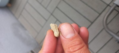 20240627_171749.jpg