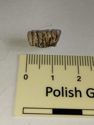 5. Góry świętokrzyskie