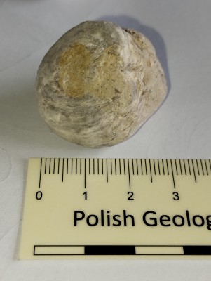 6. Okolice Polesia