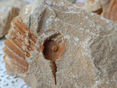 IMG_20240812_184523.jpg (2.49 MiB) Przejrzano 3543 razy IMG_20240812_184523.jpg