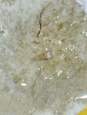 IMG_20240814_165333.jpg (1.7 MiB) Przejrzano 4405 razy IMG_20240814_165333.jpg