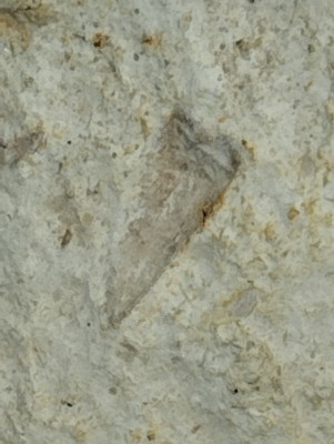 IMG_20240814_170544.jpg (2.13 MiB) Przejrzano 5061 razy IMG_20240814_170544.jpg