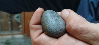 20240822_175946.jpg