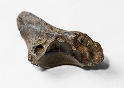 519A8029 kopia.jpg