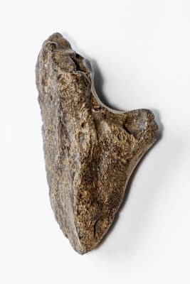 519A8026 kopia.jpg