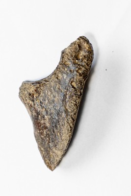 519A8027 kopia.jpg