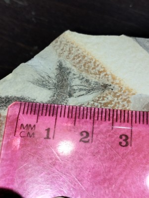 IMG_20241019_202633.jpg (3.72 MiB) Przejrzano 2433 razy IMG_20241019_202633.jpg