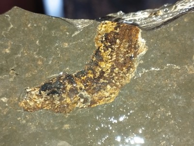 IMG_20241027_153438.jpg (3.86 MiB) Przejrzano 6922 razy IMG_20241027_153438.jpg