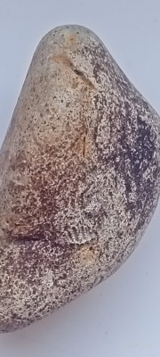 IMG20241102144332.jpg