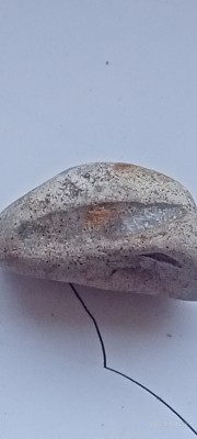 IMG20241102144432.jpg