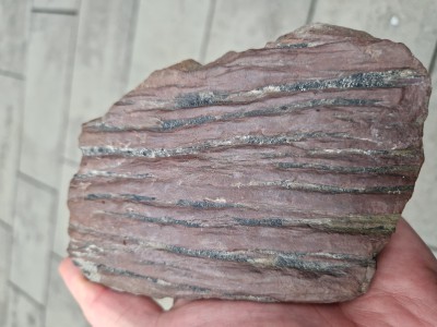 20241104_140307.jpg (2.28 MiB) Przejrzano 7164 razy 20241104_140307.jpg