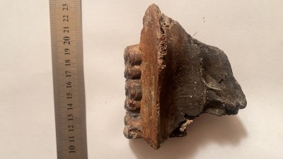 IMG_2337.jpeg