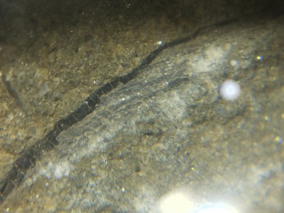 IMG_20241106_202616.jpg (3.29 MiB) Przejrzano 3614 razy IMG_20241106_202616.jpg