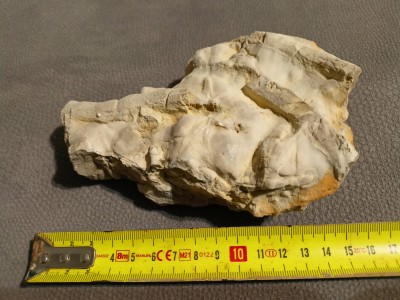 IMG20250614231801.jpg