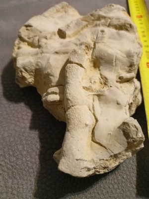 IMG20250614231953.jpg