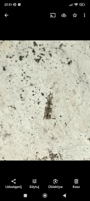 Screenshot_2025-08-15-22-51-02-729_com.google.android.apps.photos~2.jpg (343.09 KiB) Przejrzano 747 razy Screenshot_2025-08-15-22-51-02-729_com.google.android.apps.photos~2.jpg