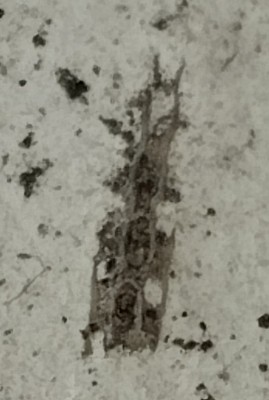 IMG_20250815_225240~2.jpg (210.09 KiB) Przejrzano 747 razy IMG_20250815_225240~2.jpg