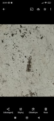 Screenshot_2025-08-15-22-51-02-729_com.google.android.apps.photos.jpg (801.43 KiB) Przejrzano 747 razy Screenshot_2025-08-15-22-51-02-729_com.google.android.apps.photos.jpg