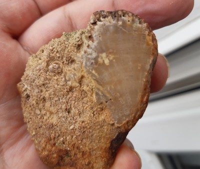 20250818_110053[1].jpg