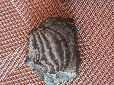 IMG_20251015_151010304_HDR.jpg