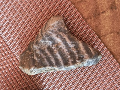 IMG_20251015_151005457_HDR.jpg