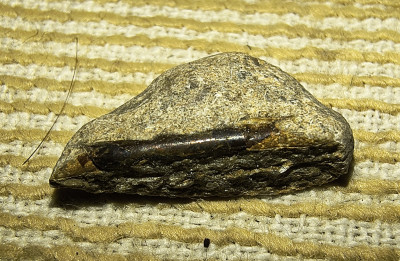 IMG_20261006_142737012_HDR~2.jpg